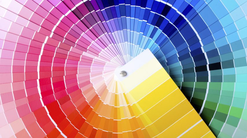 Close-up view of a color chart used for paint selection